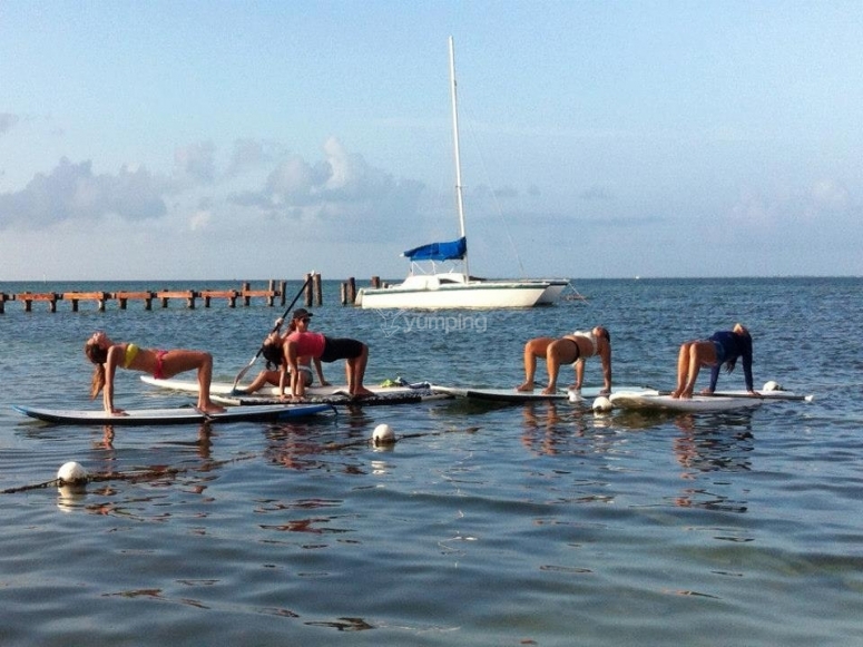 SUP Cancún Paddle Boarding, precios y reservas 2024